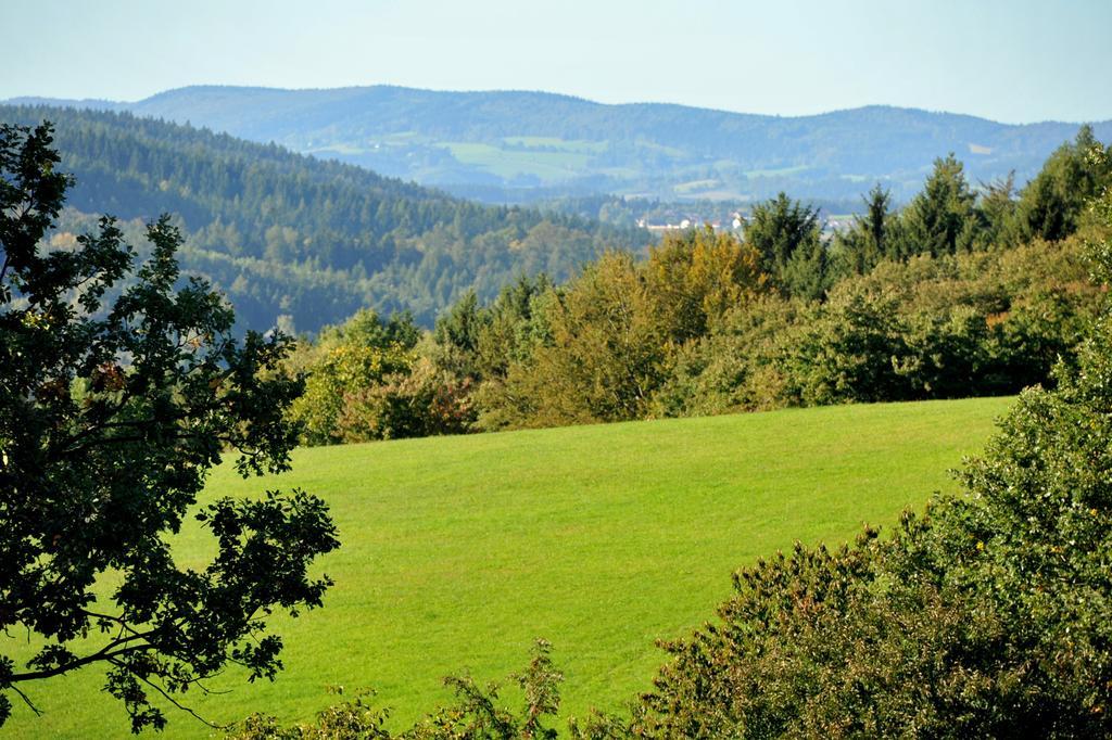 Apartman Na Bubnu Nachod Bilik gambar